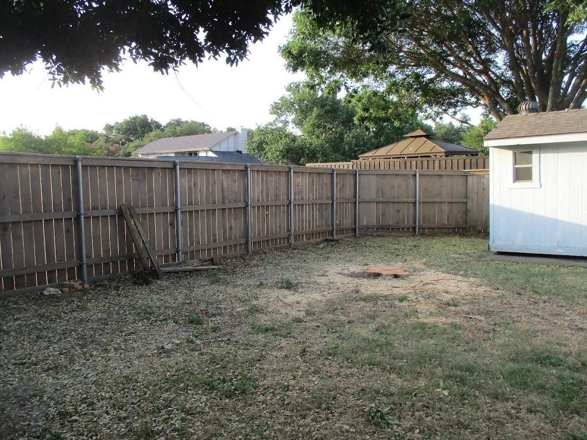 Cleared yard after professional tree removal in North Lake
