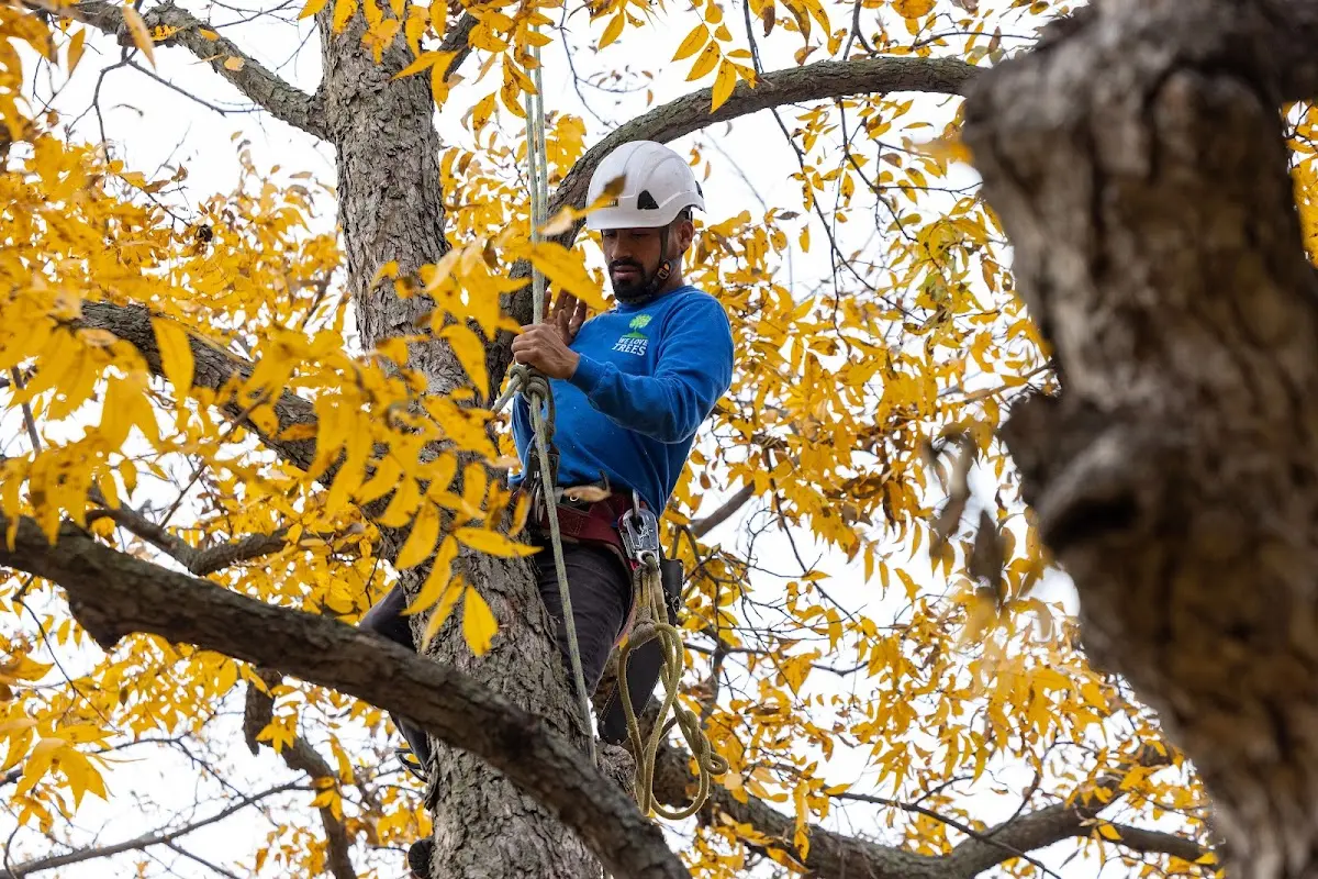 Skilled Storm Damage Cleanup crew working in North Lake